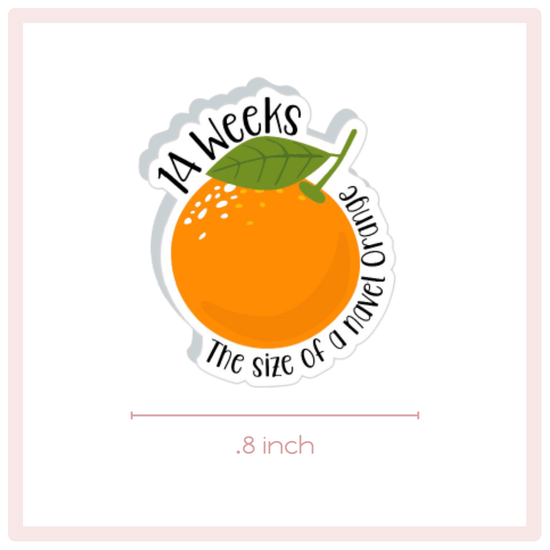Baby Bump Size by the Week Planner Stickers
