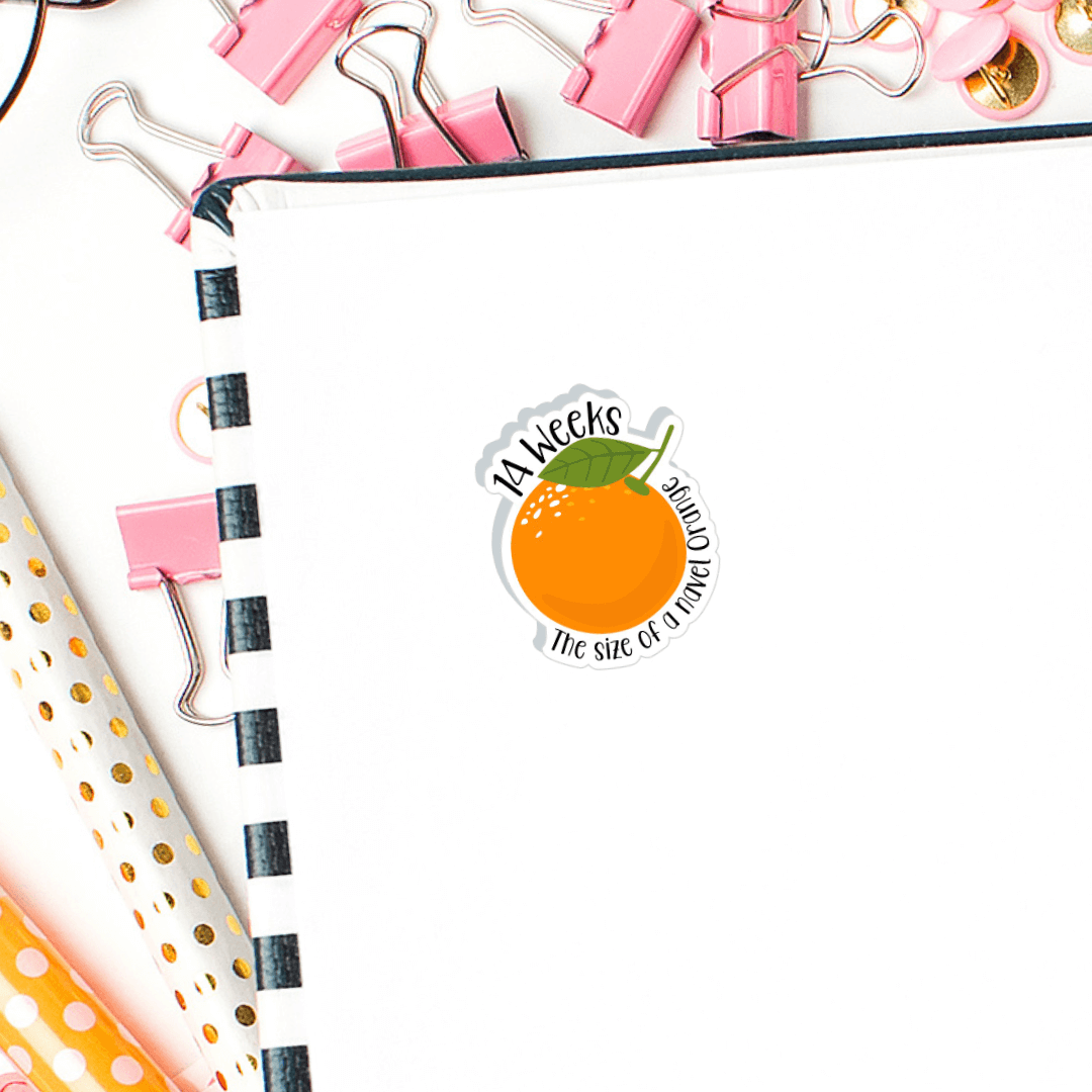 Baby Bump Size by the Week Planner Stickers