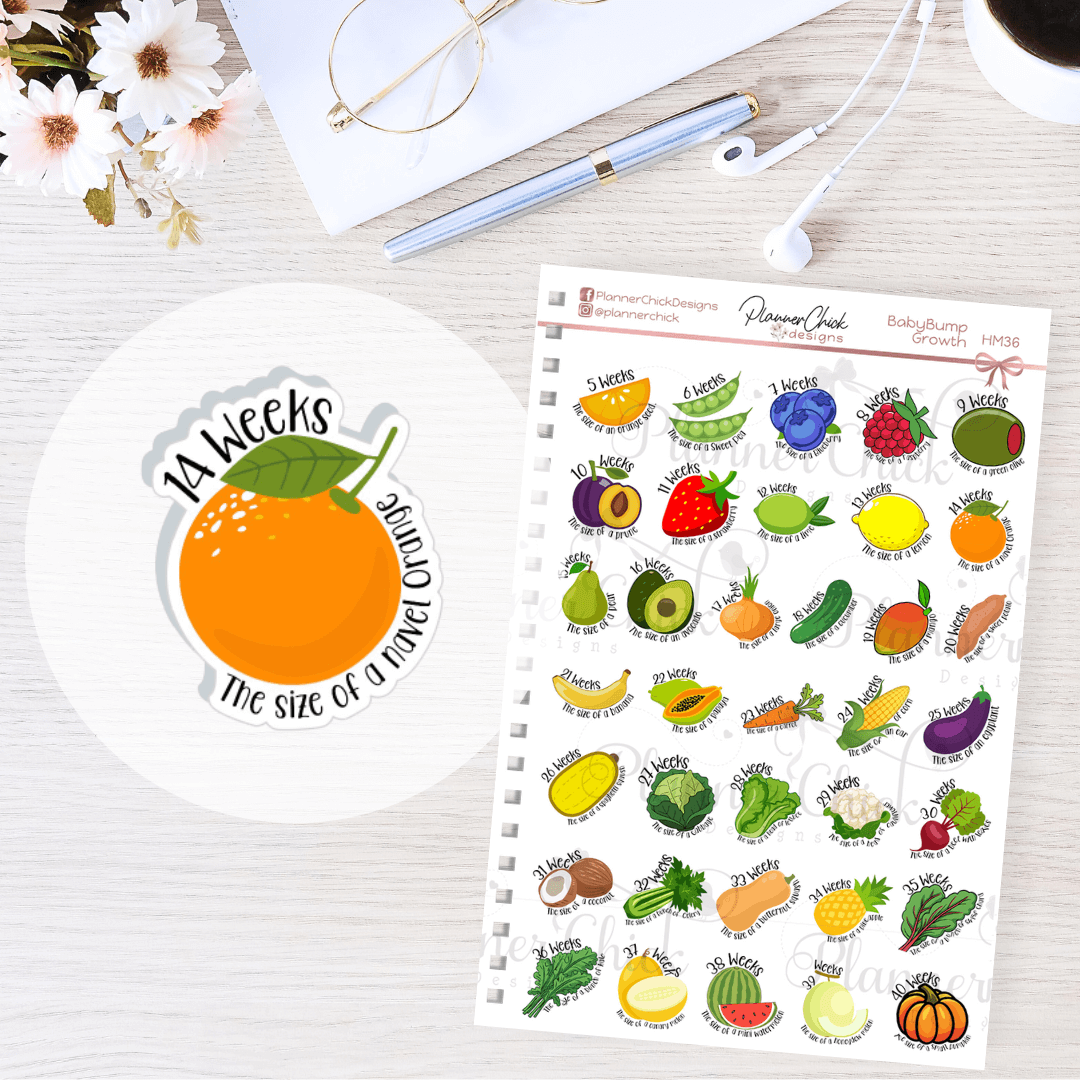 Baby Bump Size by the Week Planner Stickers