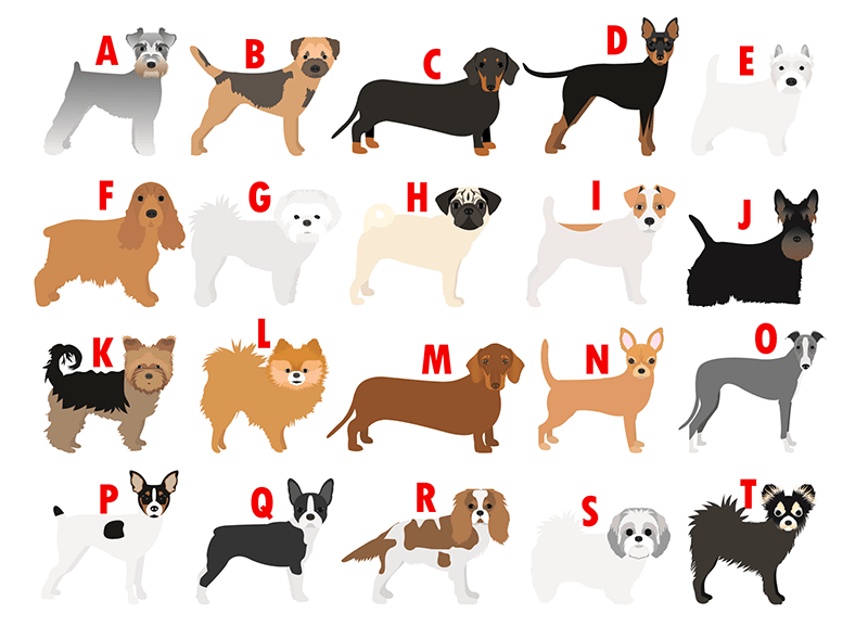 Customized Dog Breed Stickers