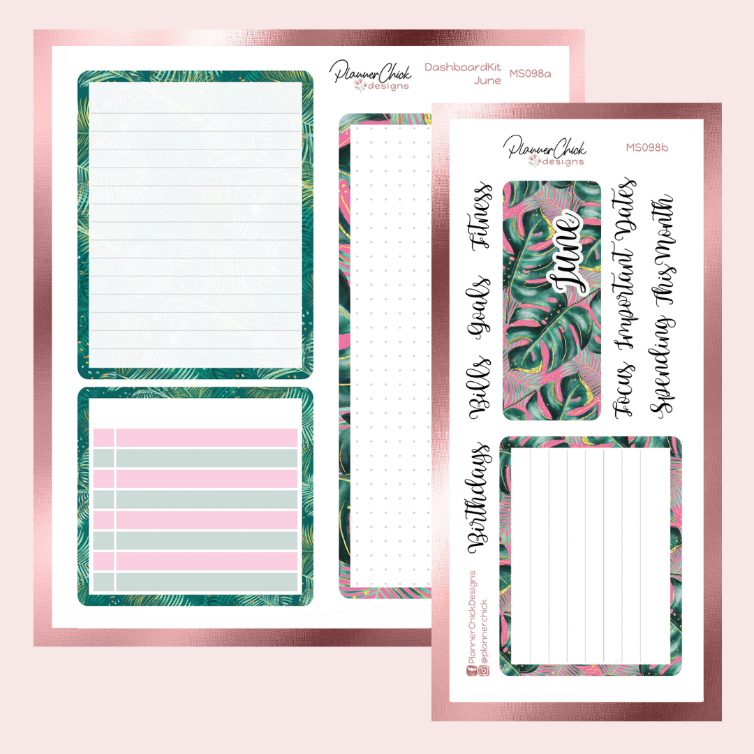 Dashboard Kit ~ June (TWO Sheets)